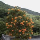 노아펜션 이미지