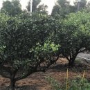 청수1789 이미지