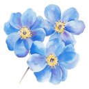 홍예공원로 이미지