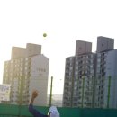 스포닥 이미지
