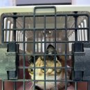 진보동물병원 이미지