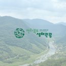 옥산 오토캠핑장 뒤