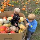 (주)샌드힐 | 이 트라피스트 묘지는 즐거운 할로윈을 보내기에 좋은 곳입니다.