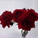 풍암한방병원 이미지