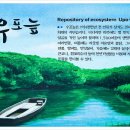(주)예늪 이미지