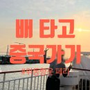 [중국 크루즈 여행] 위동항운 페리 총 정리! 칭다오 가격 후기 및 웨이하이 노선 안내(부대시설, 멀미...