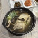 능이골 | [구미/송정동] 능이골 : 능이 한방 영계탕