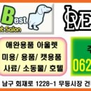 비오비애완용품아울렛