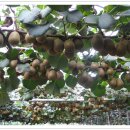 (주)골드그린환경 이미지