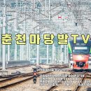 춘천공인중개사사무소 이미지