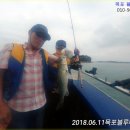 블루마린호 - 화성시 궁평항로 1232 | 블루마린호