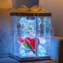 가행나무 이미지