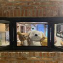 청춘노래연습장 이미지