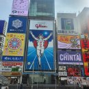 [해외여행] 일본 오사카,교토 3박 4일 자유 여행 후기