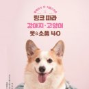 팅크 이미지