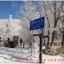 환상의 추억 이미지