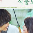 식물도감 이미지