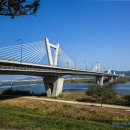 세종공원 이미지