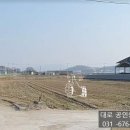 진흥114공인중개사사무소 네이버블로그