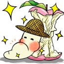 토피어리원예교실 이미지