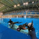 완산-164 | 전주 프리다이빙 물중독 체험 후기 – 완산수영장 다이빙풀 이용 안내