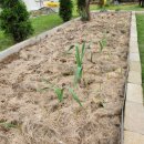 소나무가든민박 이미지