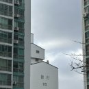 세븐일레븐 전주평화동신점 | 전주 사주 택일 진로 취업 작명 철학관 정산철학원 솔직후기(위치/주차/평화동 사주/평화동 작명)