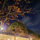 가야금튕겨보기 이미지