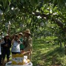 이장배농장 이미지