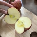 밤실농장 이미지