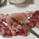 대전 노은수산시장 명성수산 대방어 맛집 후기