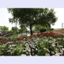 곡성-027 이미지