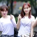 모니카 스타데일리뉴스 