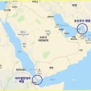 홍해마트