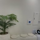 누아(nuah) 이미지