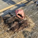 청호로220번길 이미지