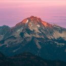 허니치킨 이미지