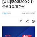 [속보]코스피200 야간선물 3%대 하락 이미지