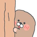 라이브펍타락