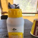 윤철농장 네이버블로그