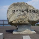 로드31