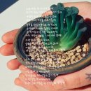 어깨동무작은도서관 | 내가 꿈꿨던 게 생각나 꿈꿨던 곳이잖아 뭔가 감동적이야