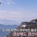 승민목장 이미지