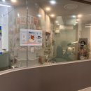 부산애견호텔 24시 강아지유치원 미용 도그드림 서면점 네이버블로그