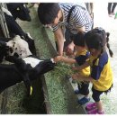 유림목장 이미지