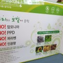 엘샤론코리아
