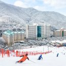 우먼센스 이미지