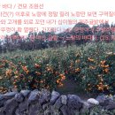 노랑고개 이미지