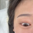 원당2통경로당 | 천안 신부동 속눈썹펌 “반하리” 내돈내산 후기