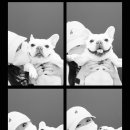 대복삼겹신탄진점 이미지